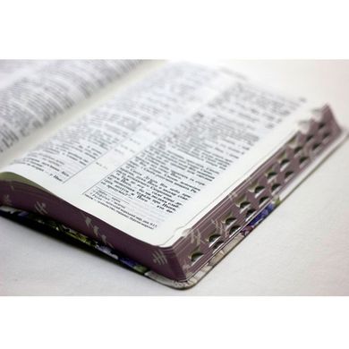 Біблія (10555) індекси