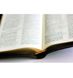 БІБЛІЯ (10457-11) ЗАМОК, ІНДЕКСИ